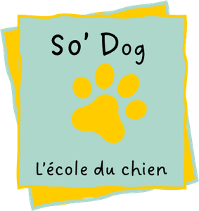 So'Dog pour leur offrir ce qu'il y a de meilleur